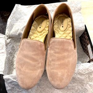 Birdies The Starling